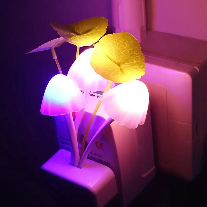 Mushroom LED night lights set with multicolor glow, European plug for kids' room decor.