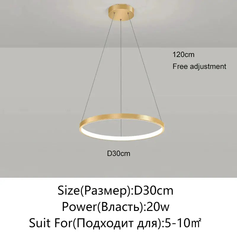 Modern round LED pendant light with gold finish, 30cm diameter, 20W, suitable for living rooms and kitchens