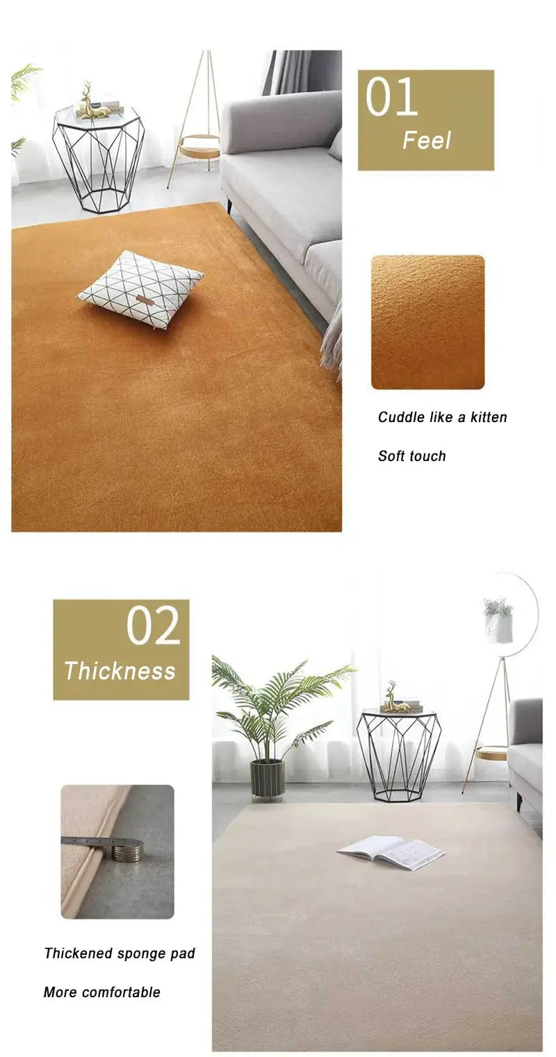 VIKAMA coral velvet carpet, soft non-slip living room rug in warm orange-brown, large area