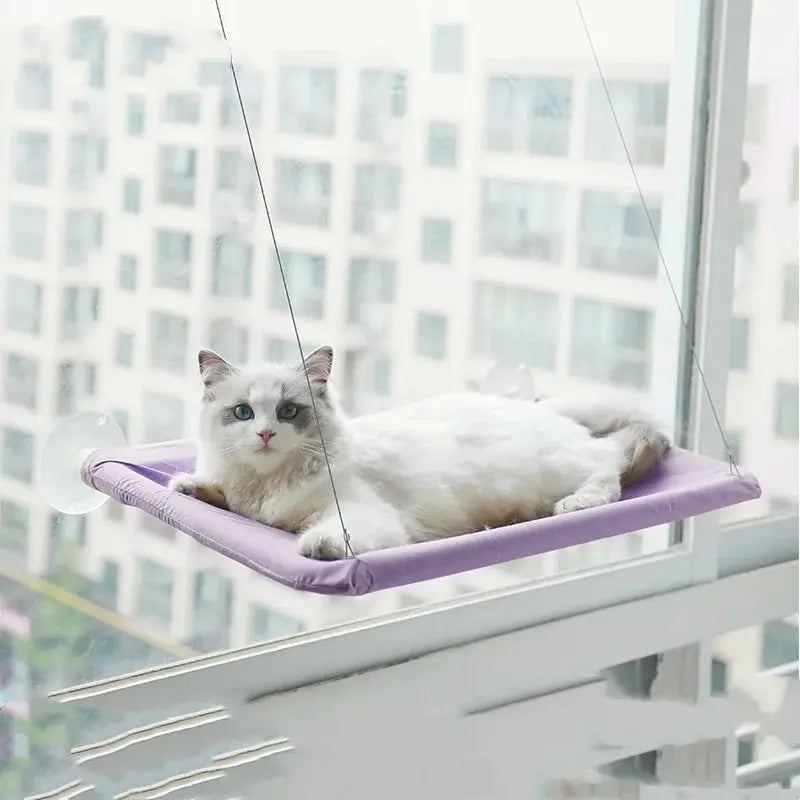 Simples Market purple hanging cat hammock bed with cords; white fluffy cat on sunny window seat.