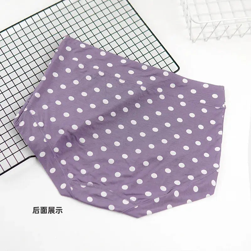 Panties, purple polka dot high-waist briefs in modal fabric