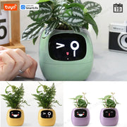 Tuya Gen 1 Ivy Smart Planter With 49 Rich Expressions, 7 Smart Sensors, AI Chips For Easy And Fun Plant Care