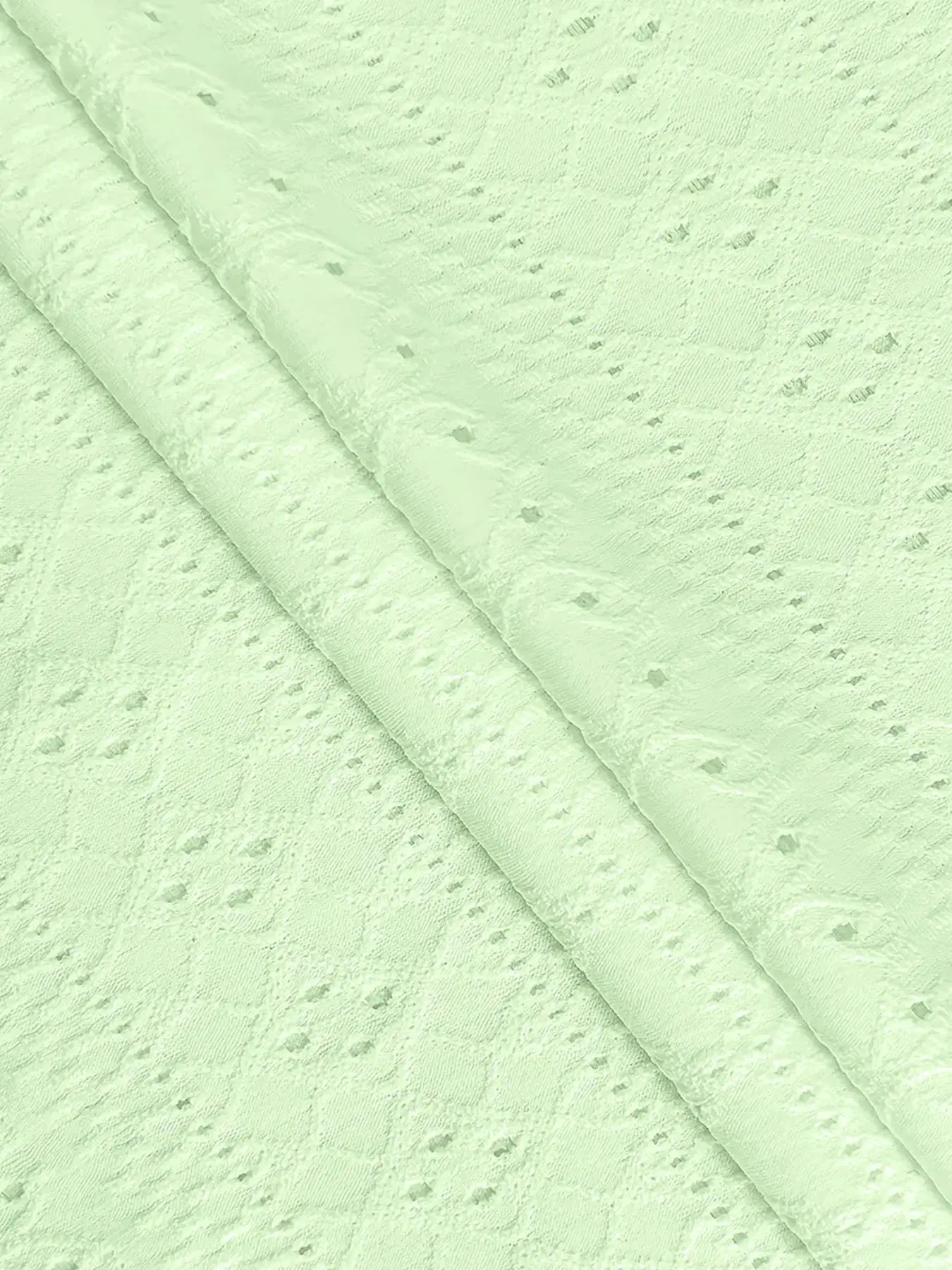 Women's lace blouse fabric in pale green; close-up dotted lace texture
