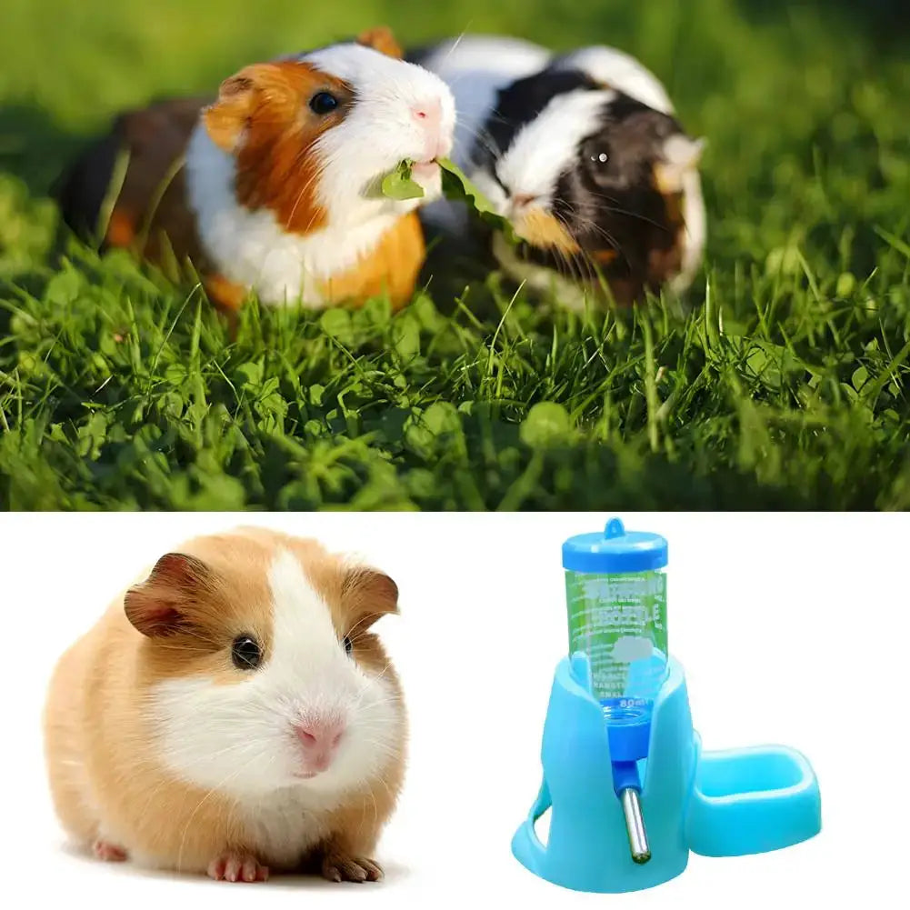 Hamster water feeder by Simples Market; blue bottle dispenser with bowl, shown with three guinea pigs on grass