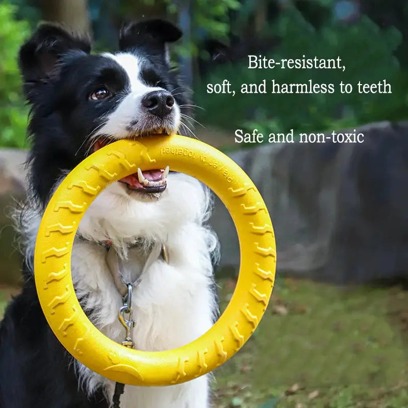 Simples Market EVA dog toys 4-pack: yellow ring chew toy for puppies and dogs