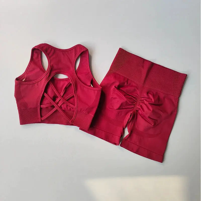 ZenFlex Seamless Yoga Set for Women Breathable Quick Dry Two Piece High Waist Bra and Shorts