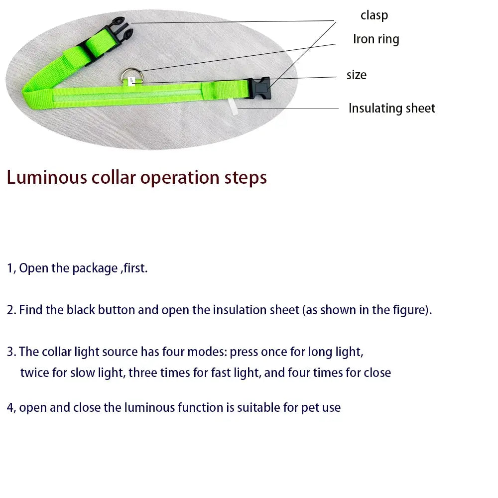 Nylon LED Night Safety Dog Leash And Collar With Flashing Glow In The Dark Luminous Fluorescent