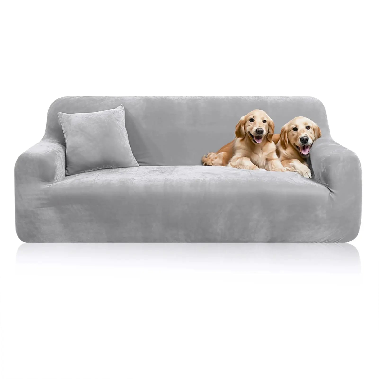 Stretch velvet gray sofa cover on a couch with two golden retriever puppies lounging on it