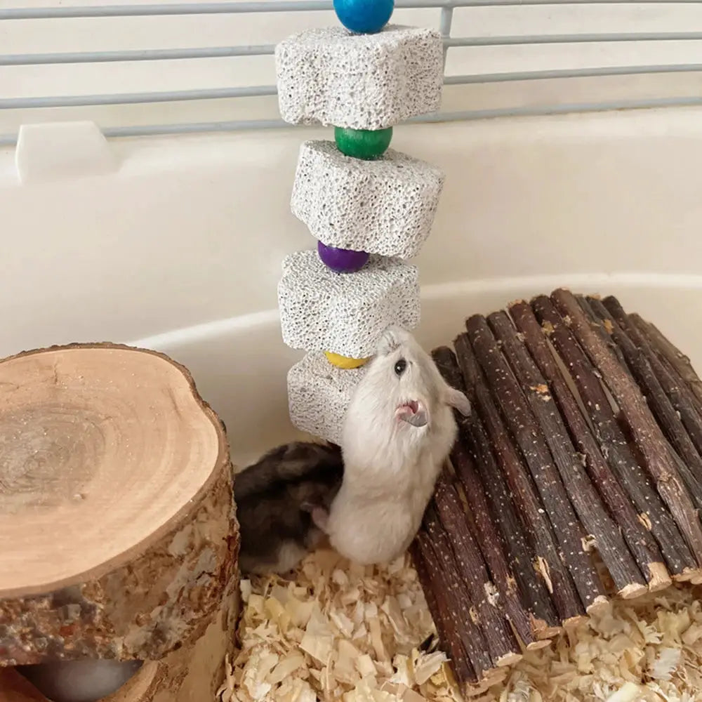Volcanic rock chew toy for parrots and hamsters; porous white blocks with colorful beads.