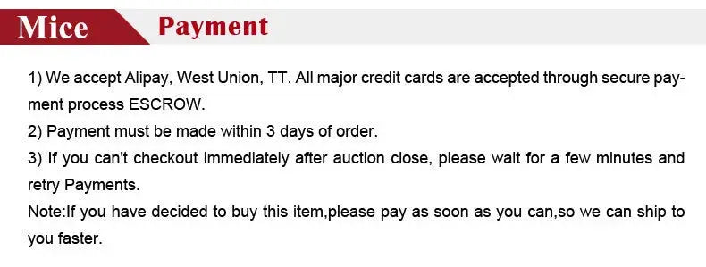 Payment policy screenshot listing Alipay, West Union, TT and a 3-day payment window with checkout reminders.