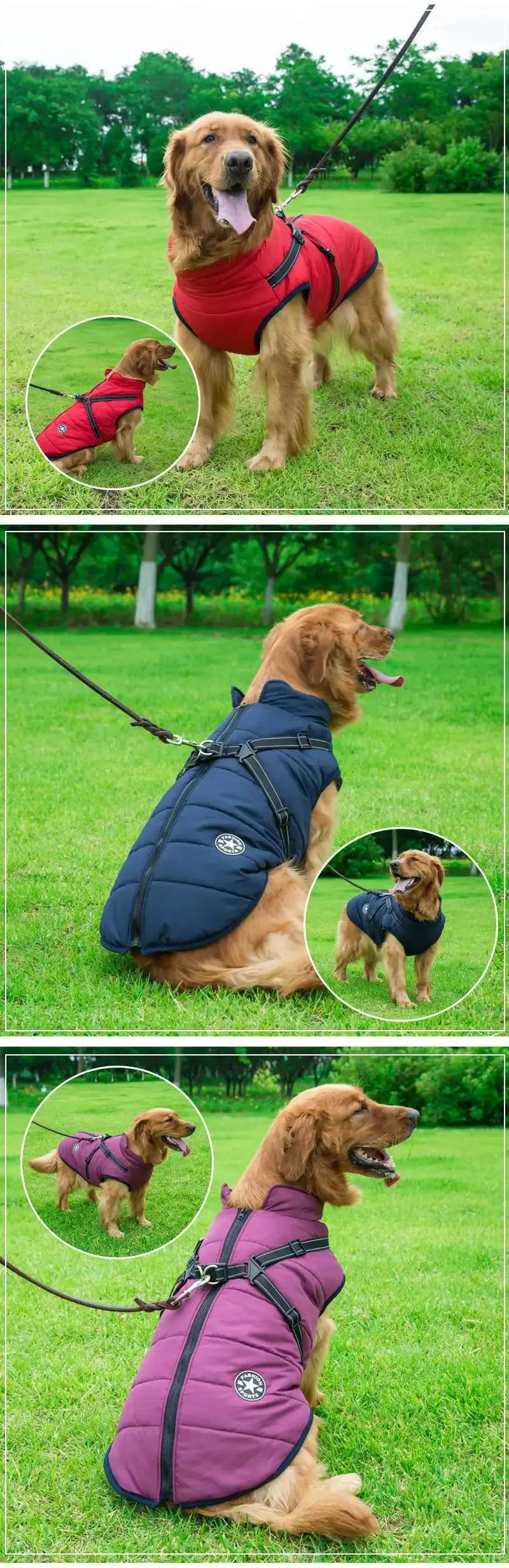 Large dog jacket with harness in red, blue and purple; three color variants; waterproof winter coat by Simples Market