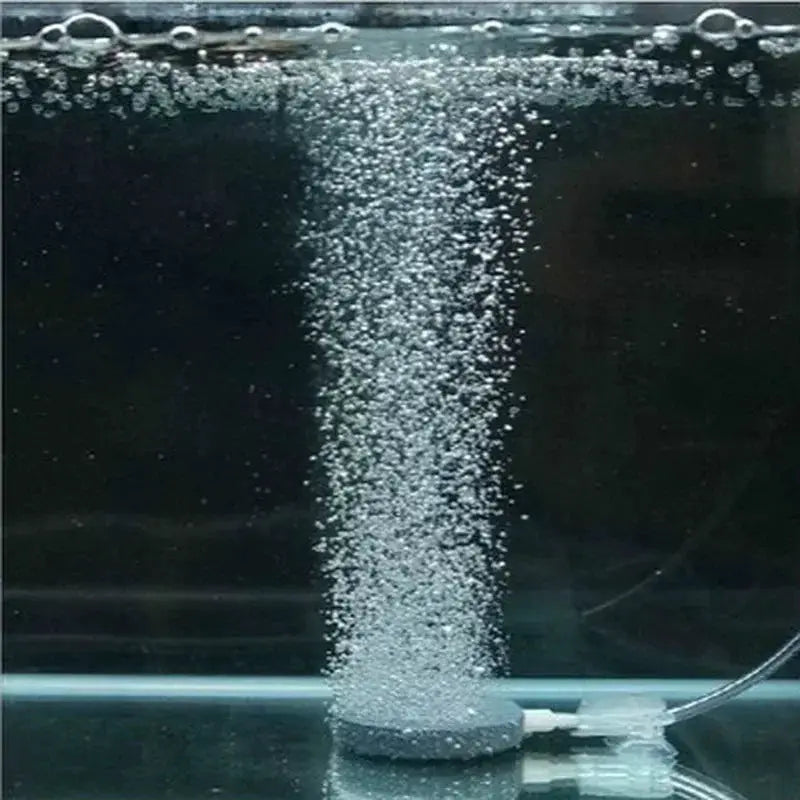 40mm Air Bubble Stone Aquarium Aerator For Pond Pumps Bubble Disk Oxygen Plate Hydroponic Oxygenation