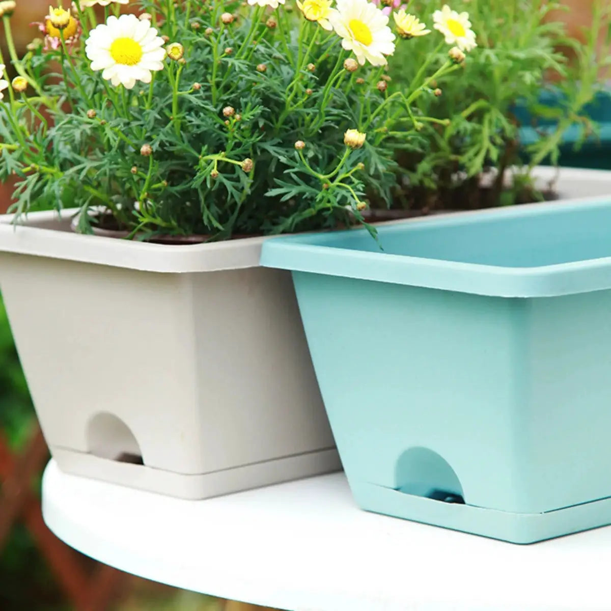 2-pack balcony planters with trays; plastic rectangular pots in beige and light blue, Simples Market