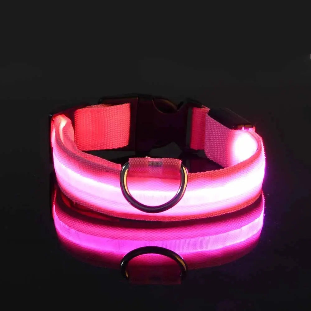 Nylon LED Night Safety Dog Leash And Collar With Flashing Glow In The Dark Luminous Fluorescent