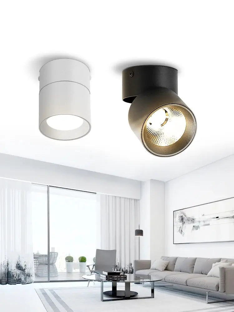 Spot LED downlight fixtures; white cylindrical ceiling light and black adjustable spotlight for modern living spaces.