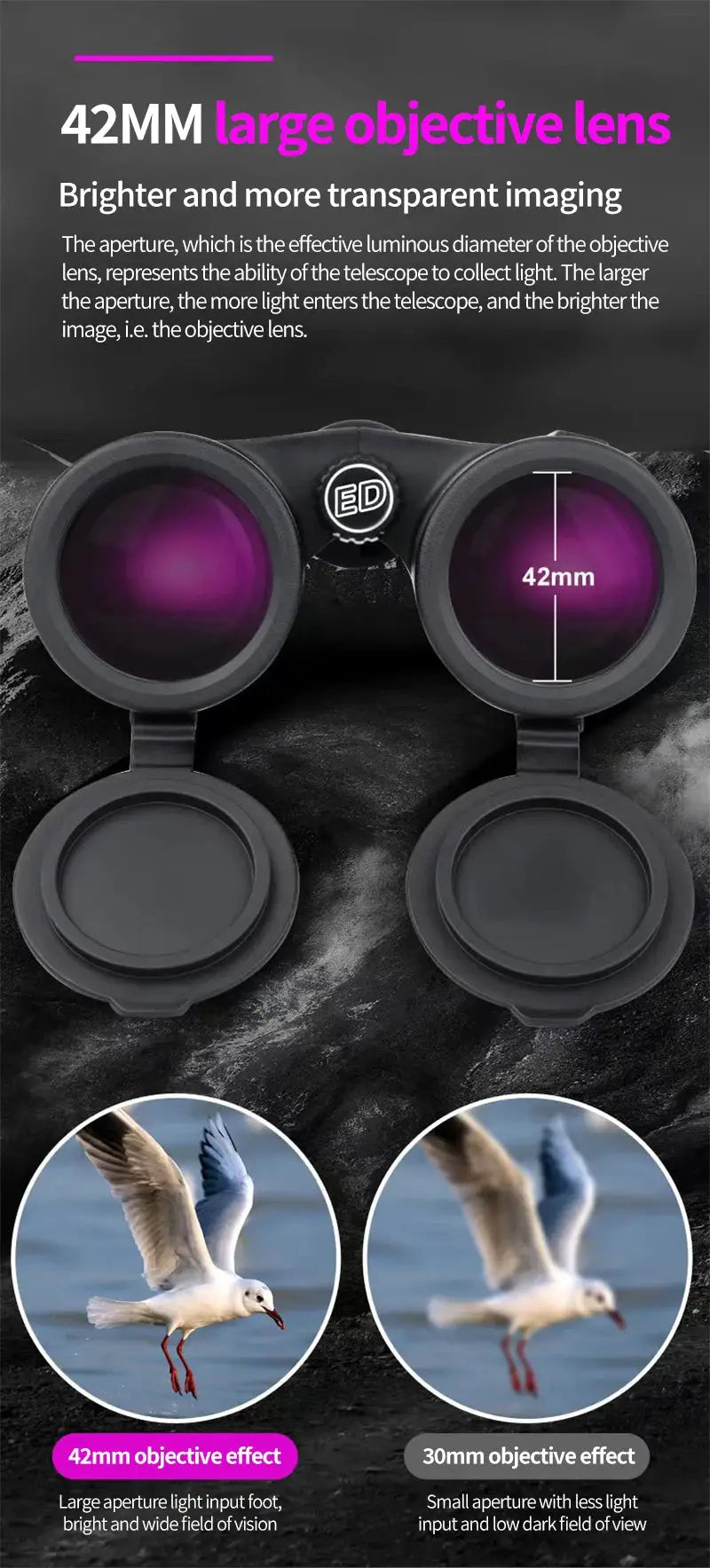 Simples Market 12x42 HD binoculars, a pair, with ED lens and waterproof metal body
