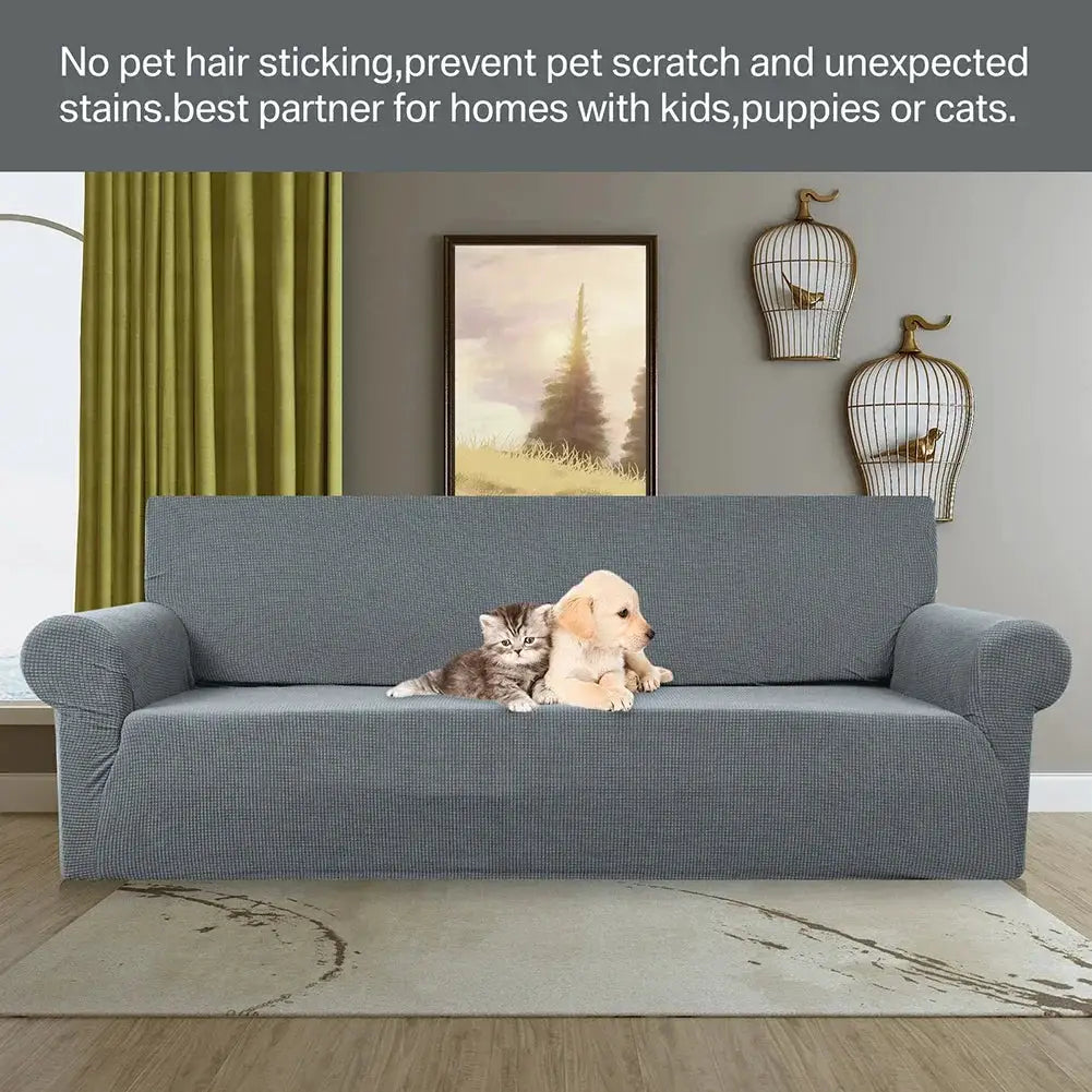 Joccun stretch couch cover on gray sofa with two pets: kitten and puppy, jacquard fabric, washable