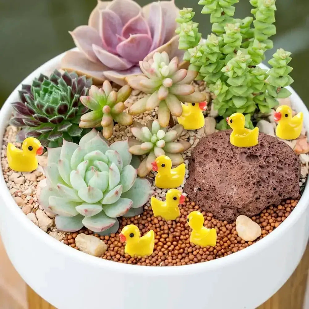 Mini resin duck figures set in a succulent planter with yellow ducks on decorative pebbles