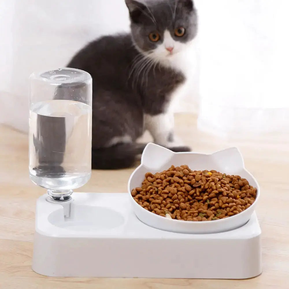 15 Degree Tilt Pet Bowl With Cervical Vertebrae Protection And Automatic Drinking Feeder Double Bowl For Dogs
