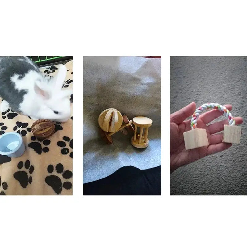 3-piece small animal play toys set: natural wooden pine chew balls, rolling dumbbells, and braided rope with wooden ends