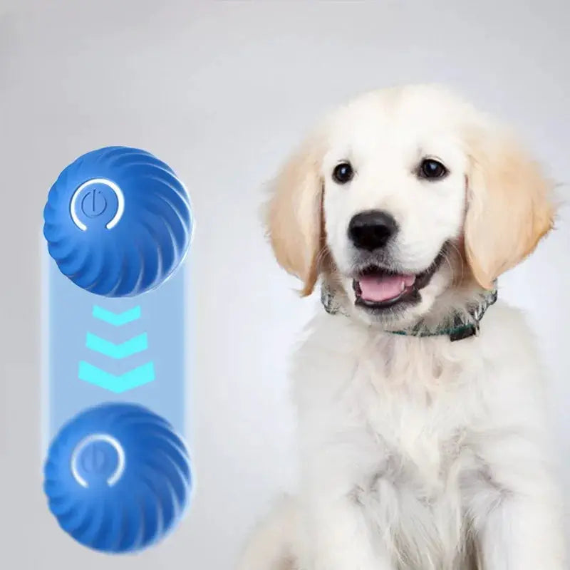 Automatic Moving Dog Toy Ball With Smart USB Jumping Rotating Interactive Chew Ball For Puppy