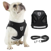 Mesh Breathable Adjustable Dog Harness And Leash Set No Pull Reflective Vest Harness For Comfort And Control