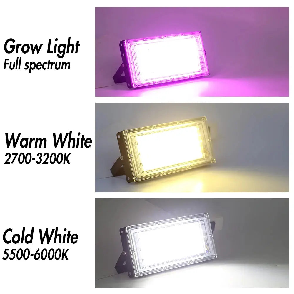 Simples Market flood light LED spotlight for outdoor use, three options: grow spectrum, warm white, cold white.