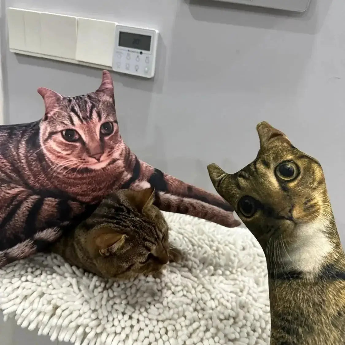 Three cat-shaped photo pillow cases by Simples Market; printed pet cushions for sofa or car
