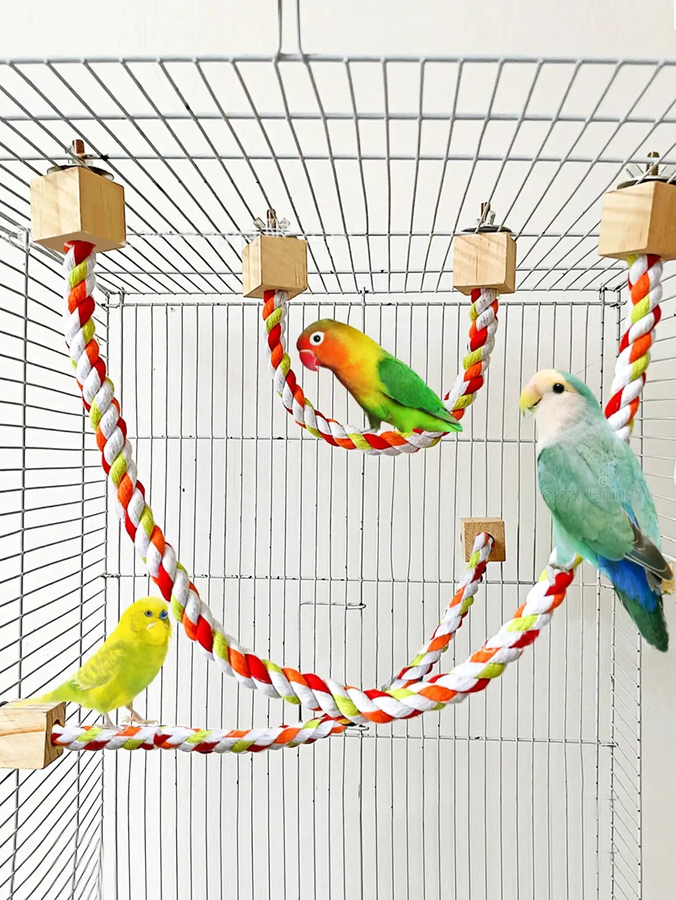 Parrot cotton rope toy set in cage with colorful twisted ropes and wooden blocks