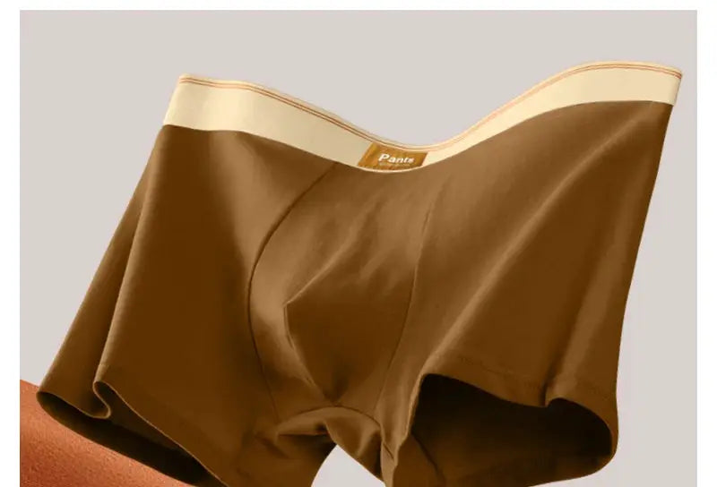 Men's boxer shorts in brown cotton with beige waistband