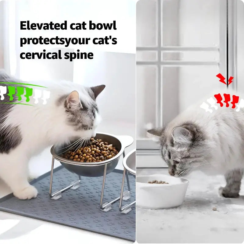 304 Stainless Steel Raised Cat Bowl With 15 Degree Elevation Tilted Neck Guard For Feeding And Shatterproof