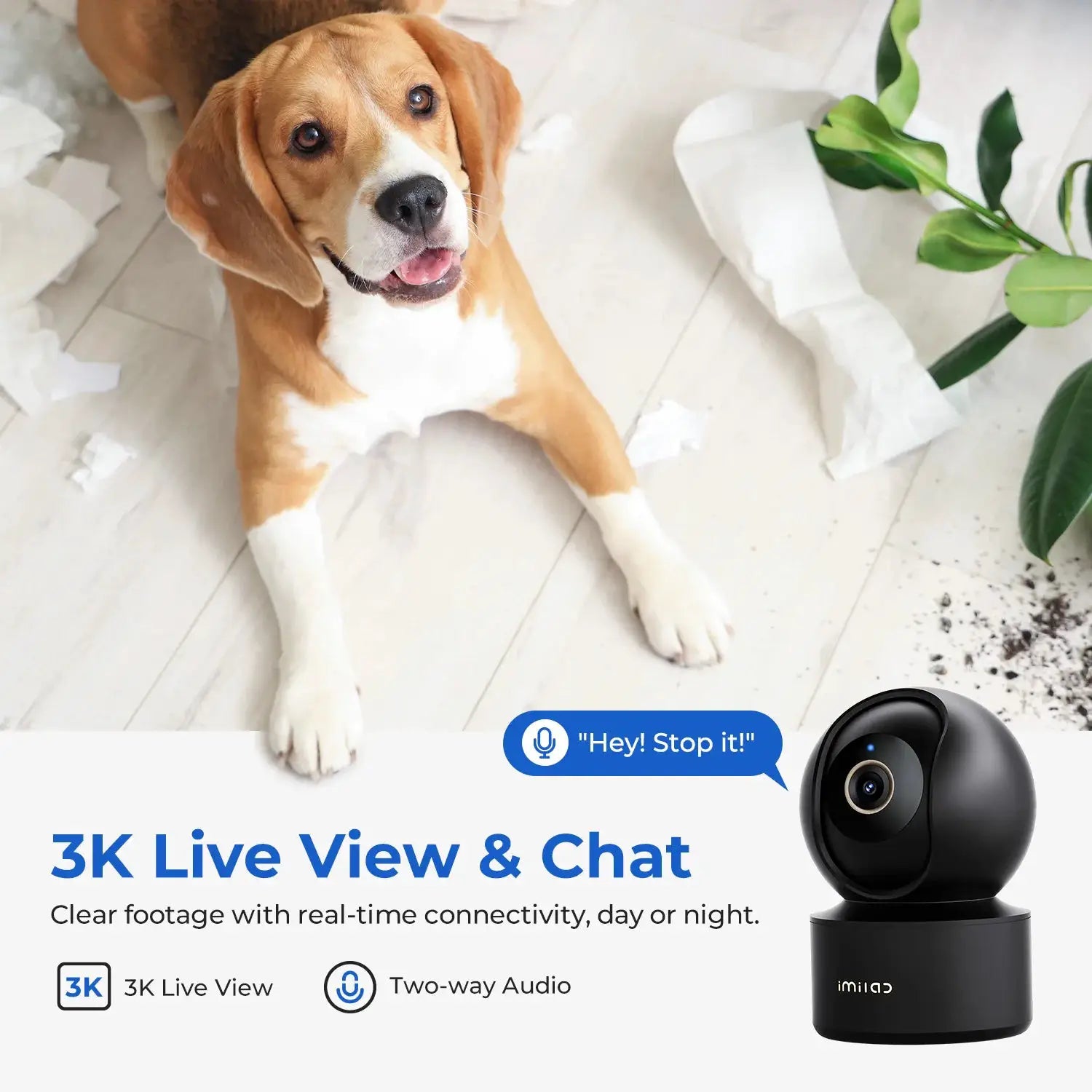 IMILAB security camera (black spherical) on white floor beside a beagle and torn paper