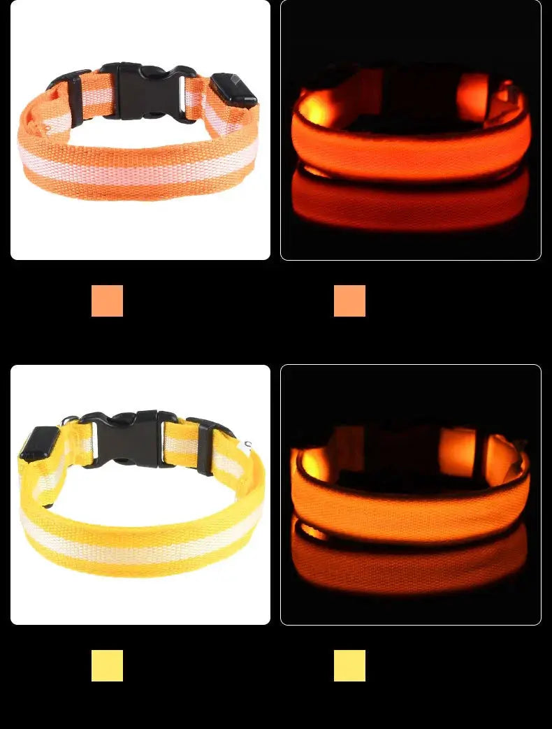Nylon LED dog collars in orange and yellow with glow-in-the-dark straps; set of 2.