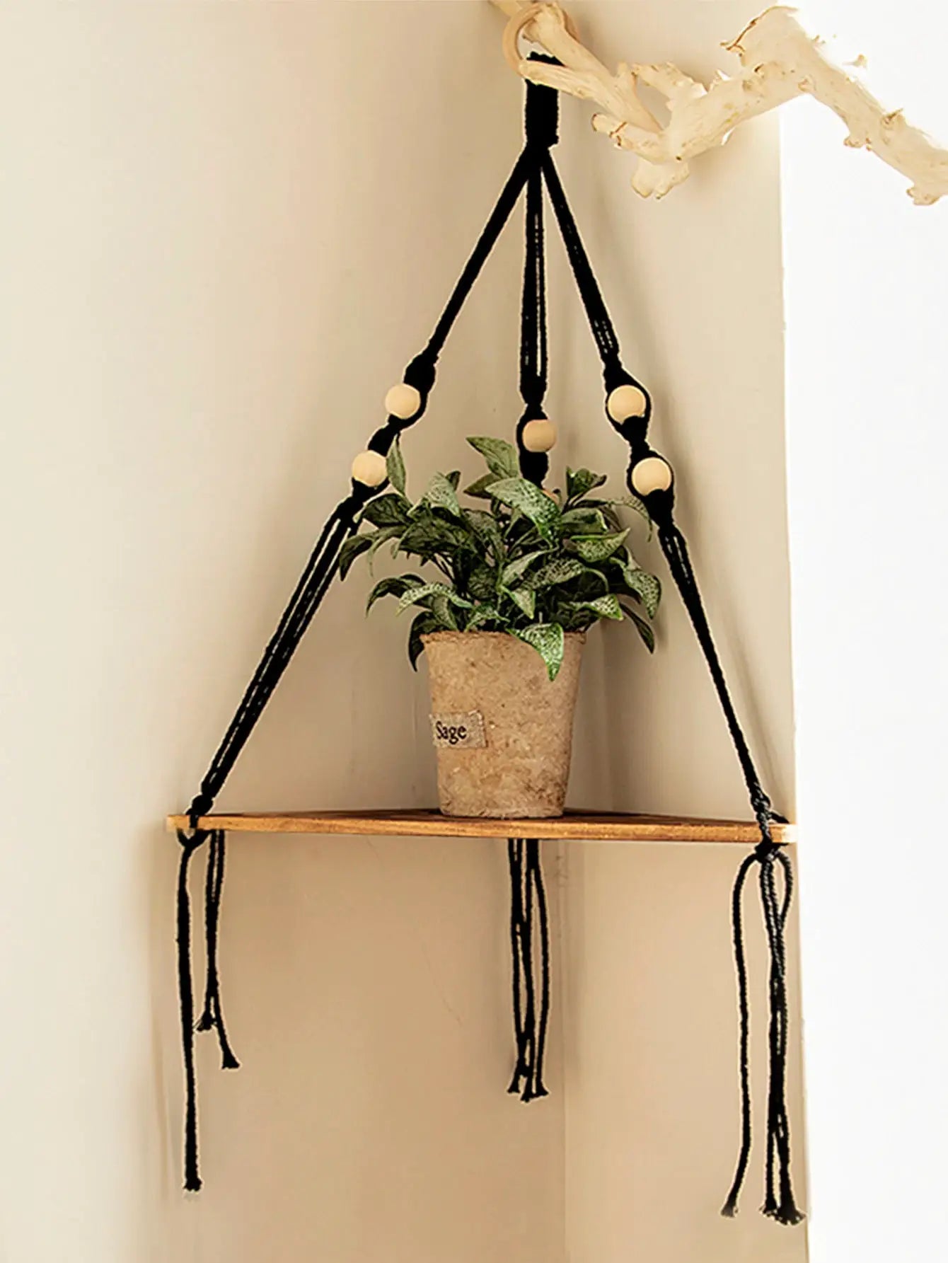 Floating wall shelf 1/2/3-tier triangle with black rope frame and natural wood shelves, displaying a potted plant