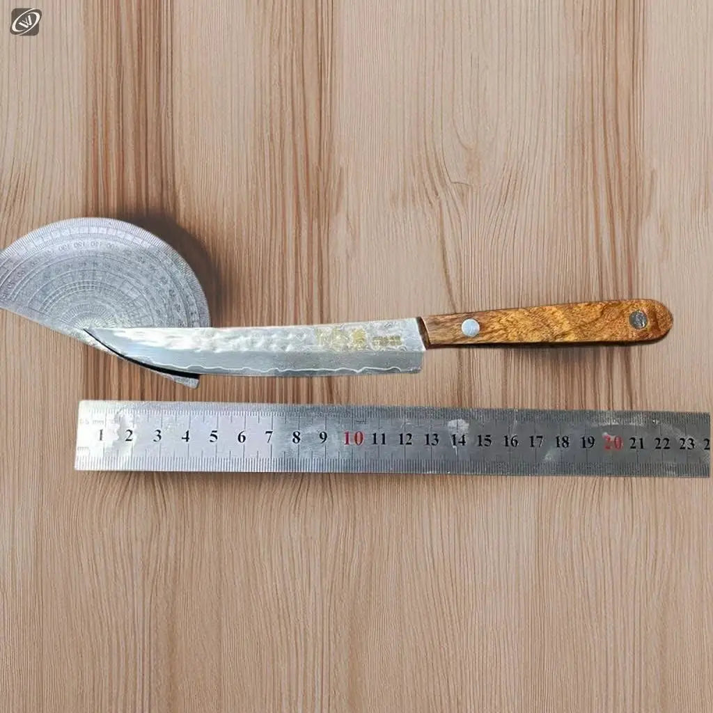 67 Ply Forged Damascus Steel Fruit Knife With Sharp Blade For Peeling And Boning Solid Wood Handle Kitchen Knife