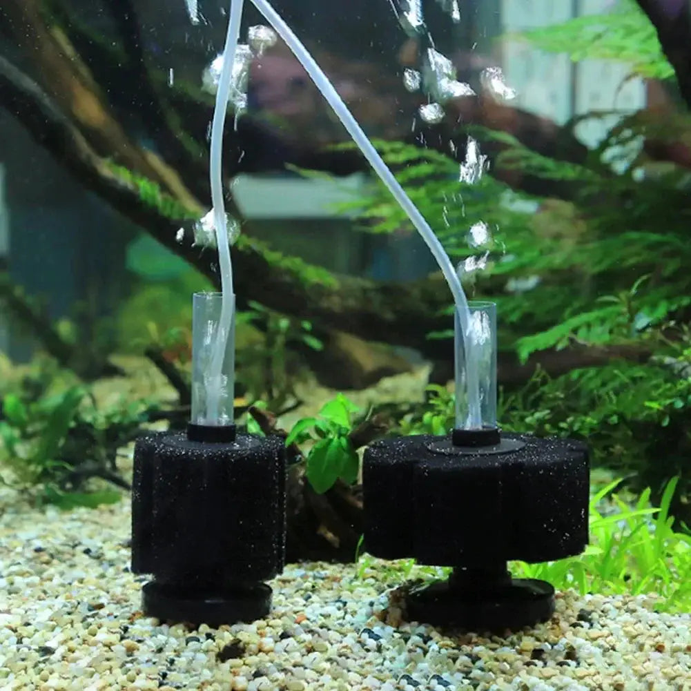 Biochemical Sponge Aquarium Filter For Fish Tank Bio Filter With Air Pump Skimmer For Clear Water