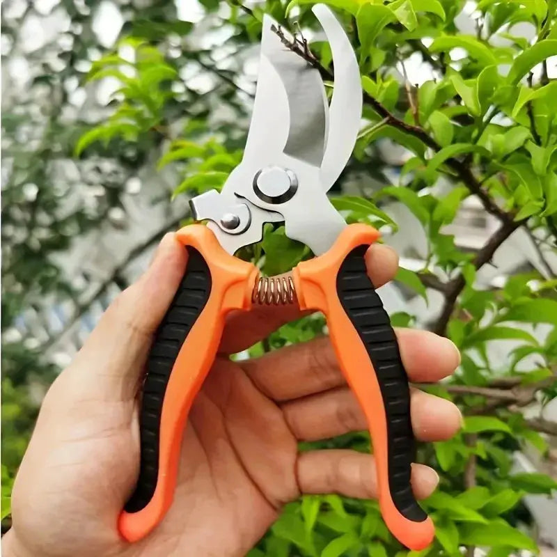 Stainless Steel Professional Gardening Shears for Pruning Branches Fruit Trees and Flowers