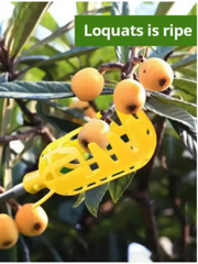 Farm Garden Fruit Picker With Deep Basket Head For Apple And Peach Harvest Convenient Fruit Catcher Tool