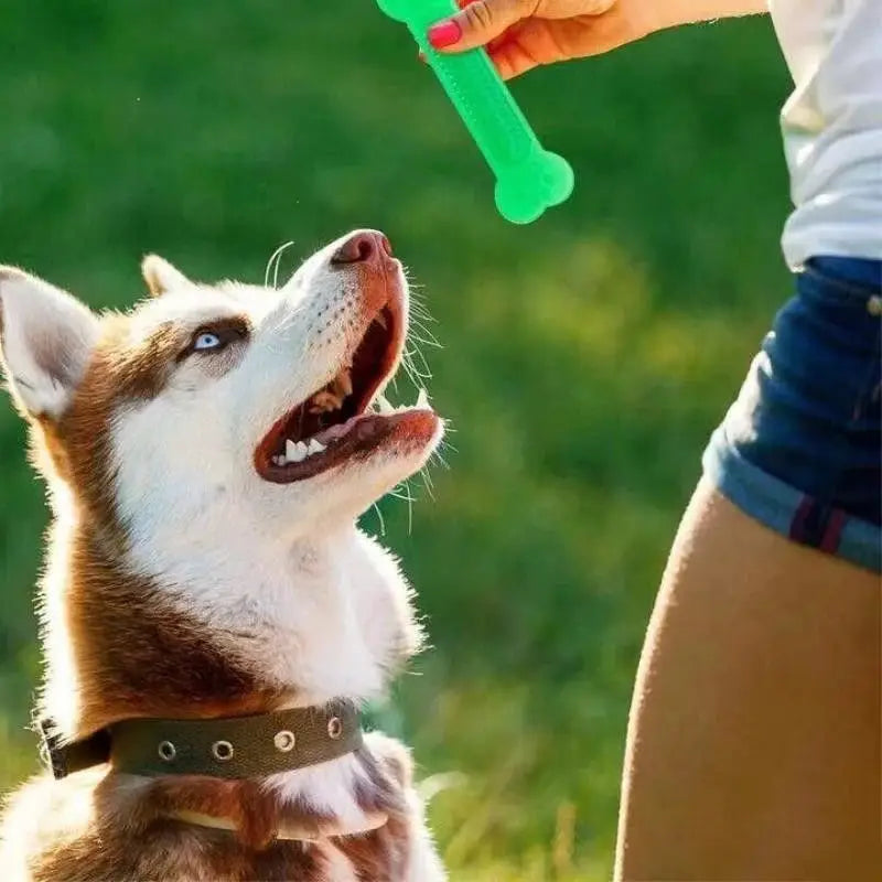 Durable Rubber Bone Chew Toy For Aggressive Chewers With Dental Benefits For Dogs And Puppies Pet Accessories