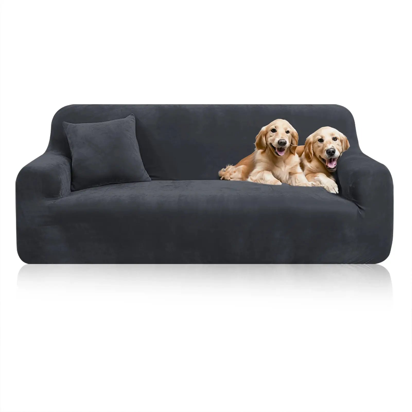Stretch velvet sofa cover in dark grey with non-slip elastic bottom; two golden retrievers lounging on it.