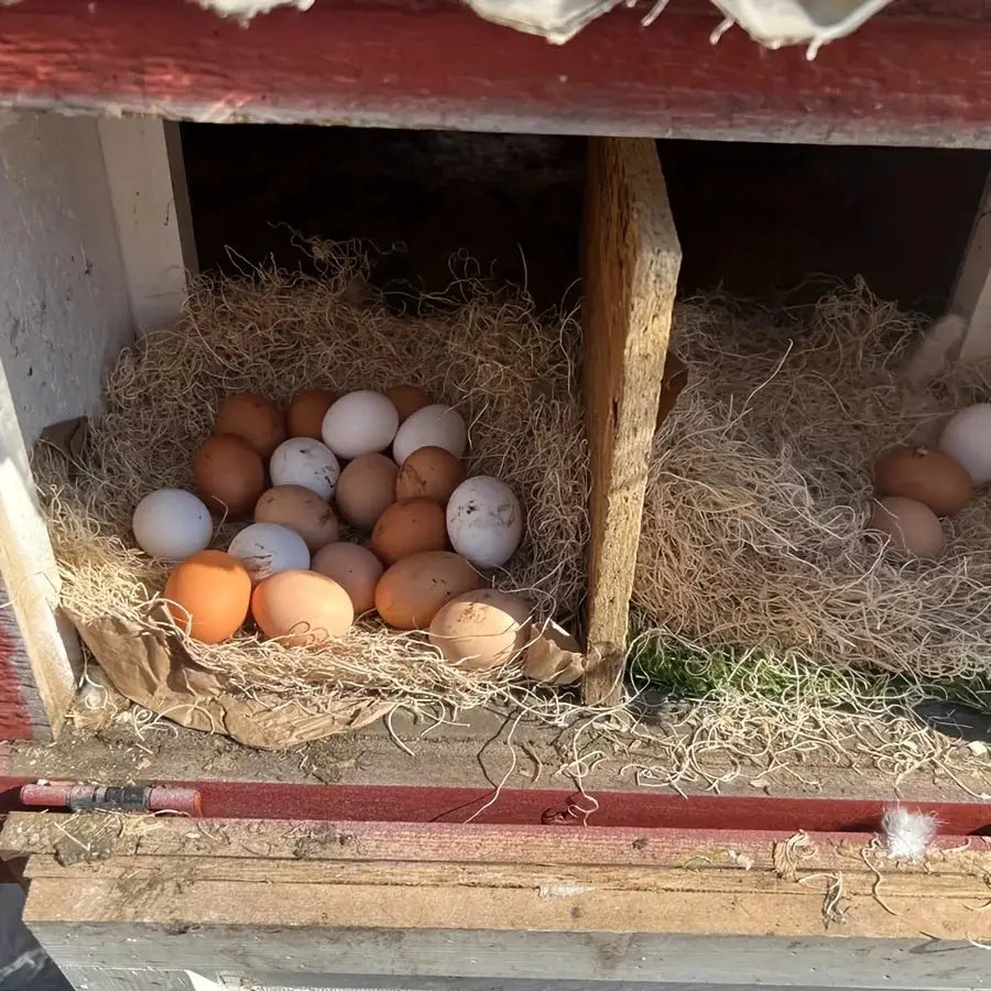 Natural Coconut Coir Nesting Liner for Chicken Coop Nest Box Mat and Nest Mat Box Liner