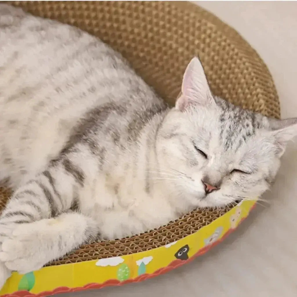 Cat scratching board nest by Simples Market; oval corrugated paper bed with a gray tabby cat resting on it