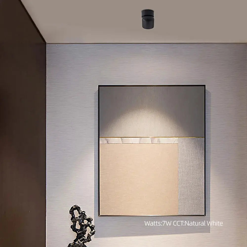 Aisilan LED ceiling spotlight by Simples Market, black COB lamp, 360° rotation, 7W/9W, surface-mounted indoor lighting.