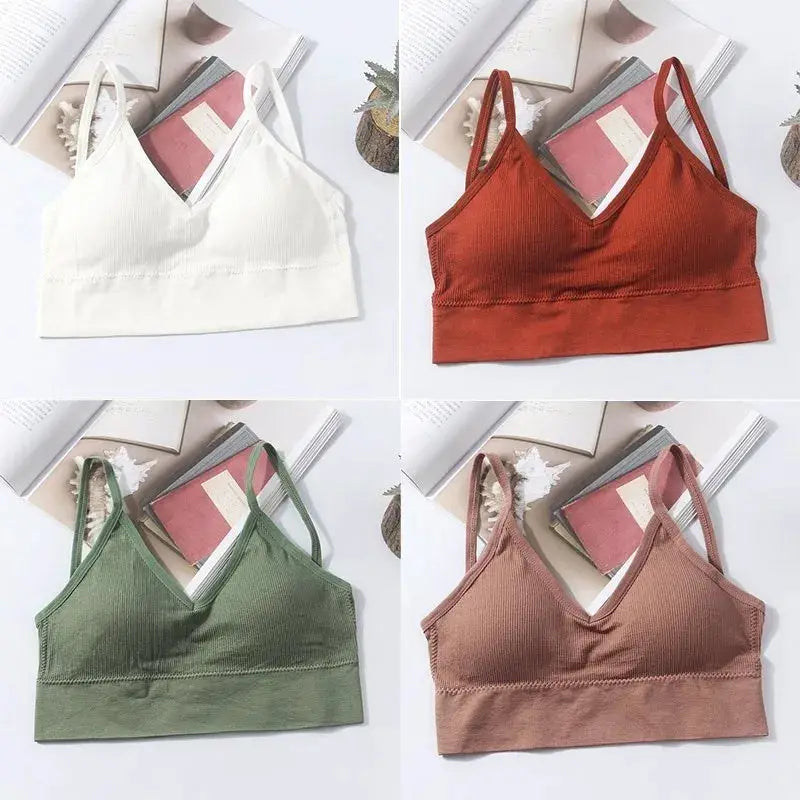 Kit of 4 women's seamless cotton padded bras in white, red, green, and brown