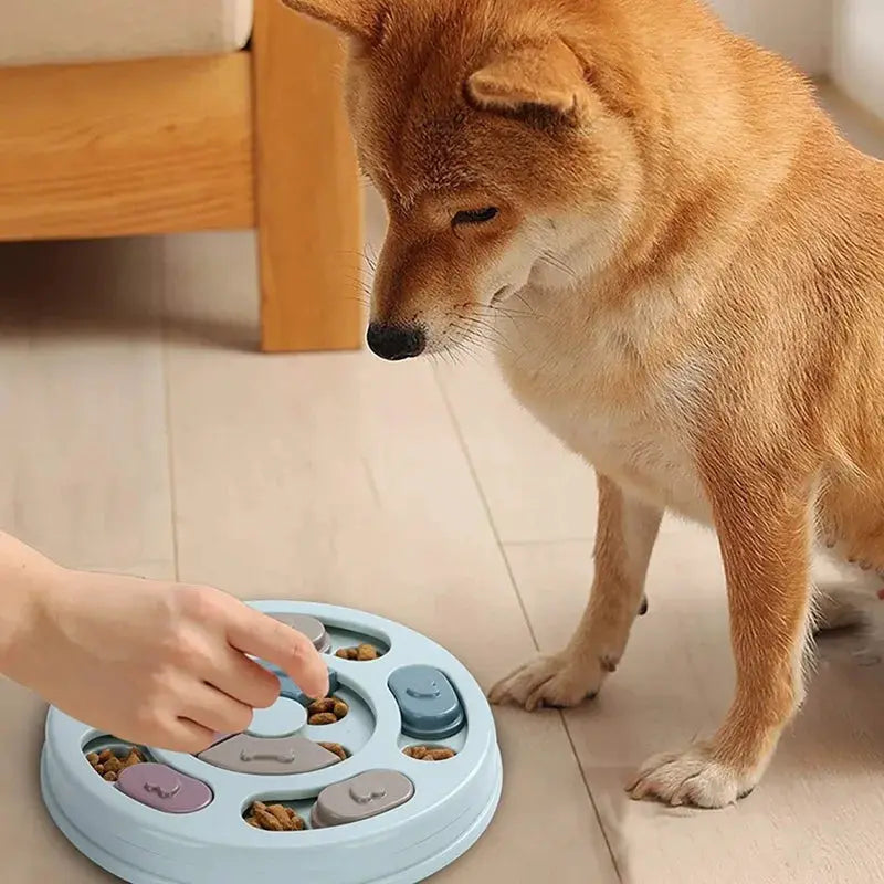 Dog food hiding bowl; blue round plastic puzzle feeder with treat compartments, Simples Market.