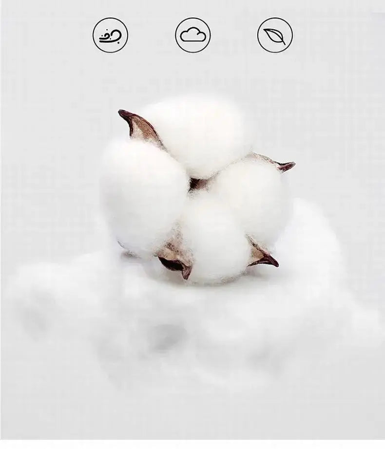 Simples Market cotton bolls close-up on white background