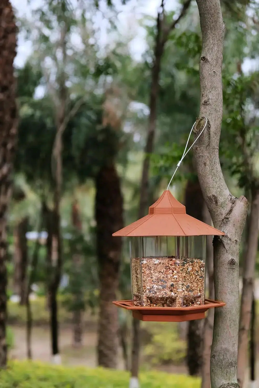 Hanging bird feeder with orange roof, clear seed reservoir and bottom feeding tray
