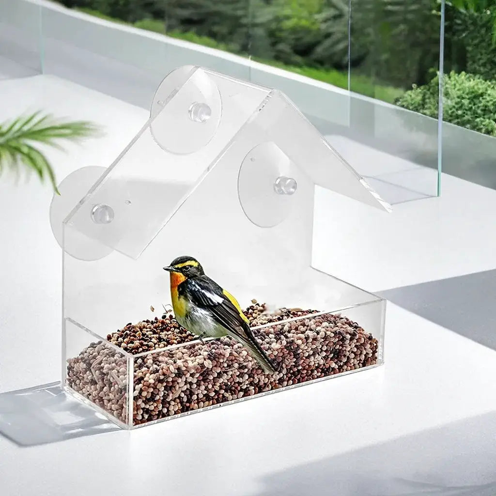 Clear window bird feeder by Simples Market with removable sliding feeding tray and suction cups