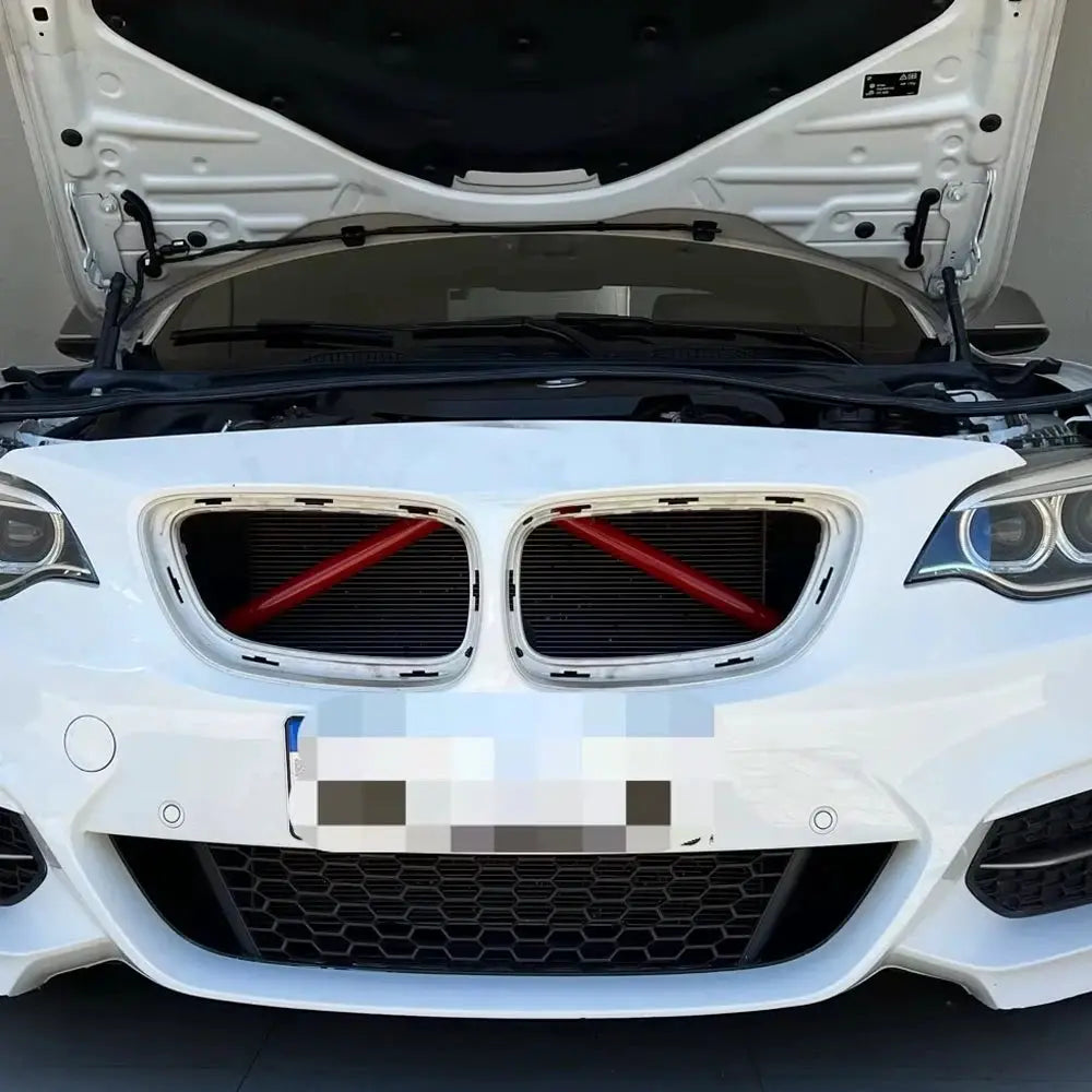 Simples Market 2pc red V-shaped grille braces for BMW kidney grilles, M Sport bar decoration