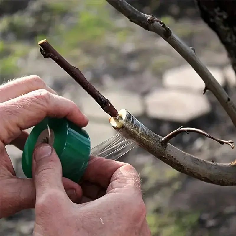 Self Adhesive Grafting Tape For Fruit Trees And Seedlings Durable Plastic No Tying Needed - Simples Market